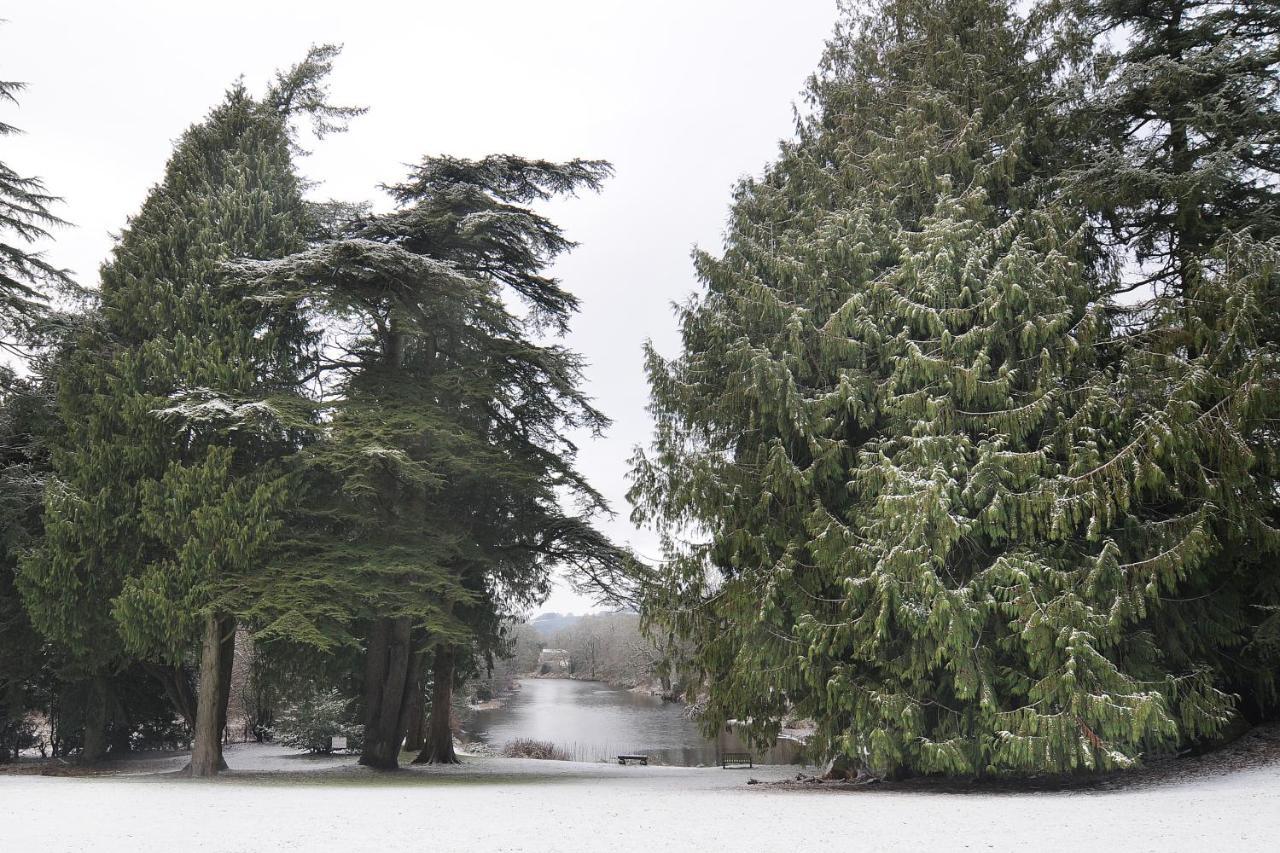 Friars Carse Country House Hotel ดัมฟรีส์ ภายนอก รูปภาพ